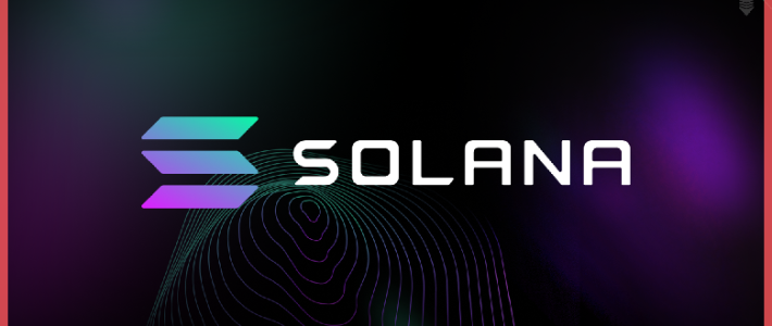 Секреты успеха Solana: Как SOL пережил криптозиму